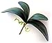 2 Artificial Green Flower Orchid Phalaenopsis Leaves Decorative Potted Plant Leaf Arrangement