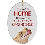 Cream Crested Gecko Christmas Ornament 2024 - Its