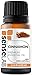 SenseLAB Cinnamon Essential - 100% Pure Extract Cinnamon Oil Therapeutic Grade - Outdoor Protection - Diffuse to Uplift Mood and Ease Tension (10 ml)