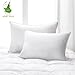 Aloe Vera Hotel Collection Gel Pillow (2 Pack) – Luxury Plush Pillows with All-Natural Pure Aloe Vera Treatment – Eco-Friendly, Hypoallergenic infused with Soothing/Moisturizing Aloe Vera - Queen