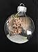 glasburg 80mm Clear Glass Disc Christmas Ornaments Set of 6