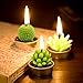 Glarks Cute Tea Lights Tealight Candles, Succulent Cactus for Birthday Party Valentine's Day Wedding Spa Home Decor and DIY Gift, 12Pcs a Pack