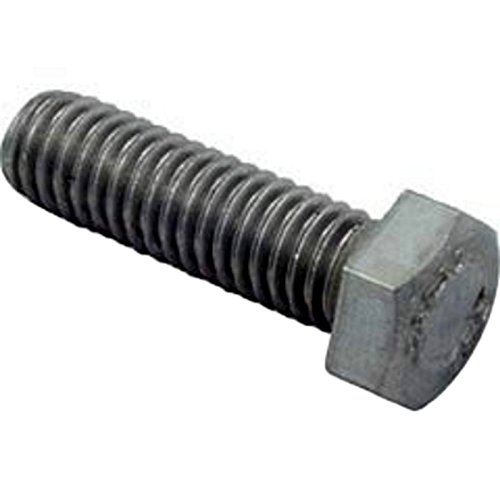 Pentair 070430 Stainless Steel Hex Cap Bolt Replacement Pool and Spa Water Pump