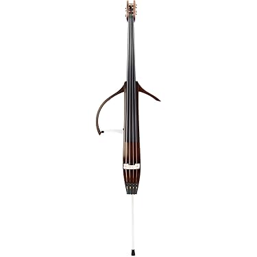 ELECTRIC UP RIGHT BASS stud.r 希少 ケース EUB STK STUD-B Electric Upright Bass エレクトリック アップライト