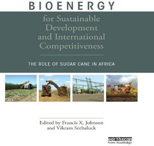 Download Bioenergy for Sustainable Development and International Competitiveness: The Role of Sugar Cane in Africa (English Edition) PDF