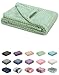 Fuzzy Blanket or Fluffy Blanket for Baby, Soft Warm Cozy Coral Fleece Toddler, Infant or Newborn Receiving Blanket for Crib, Stroller, Travel, Decorative (28Wx40L, XS-Pastel Green)