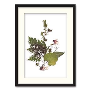 Black Paper Framed Canvas Wall Art for Living Room, Bedroom Simple Beautiful Leaves Canvas Prints for Home Decoration Ready to Hanging - 23x31 inches