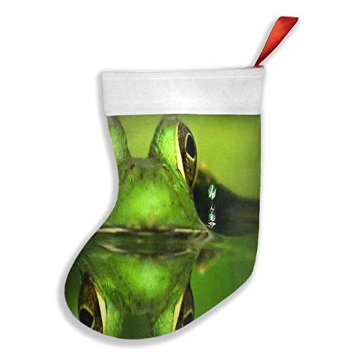 Lovexue Christmas Stockings Frog Green Eyes Trendy Christmas Decoration
Socks