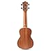 Donner Soprano Ukulele Beginner Kit Mahogany Professional 21 inch Ukelele Online Lesson Gig Bag Strap Nylon String Tuner Picks Cloth DUS-1 Ukalalee Set