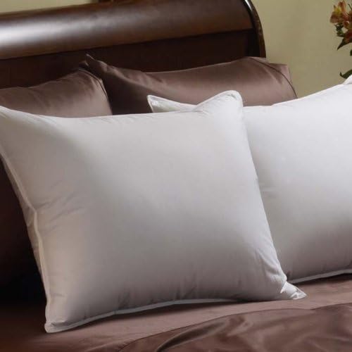 Amazon Com Pacific Coast Down Chamber Pillow Queen Home Kitchen