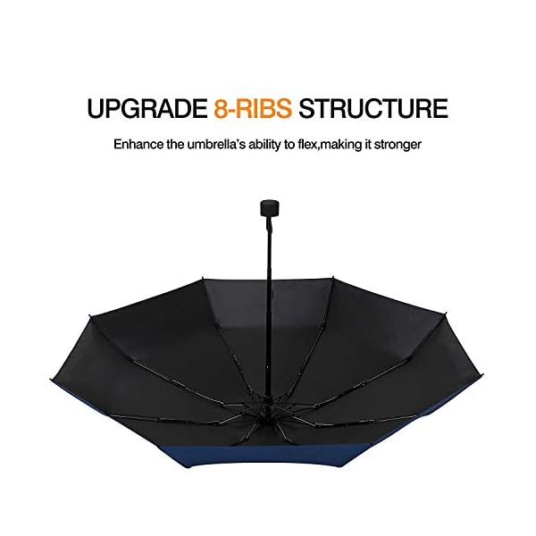 fidus umbrella