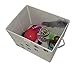 Feline Ruff Large Dog Toys Storage Box. 16