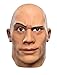 Disguise Men's the Rock Deluxe WWE Adult Mask, Multi, One Size