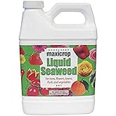 Maxicrop Liquid Kelp Seaweed Fertilizer, 1 Qt, Organic, Helps Root Growth, Used at Repotting