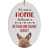Brown Netherland Dwarf Rabbit Christmas Ornament