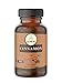 Naturevibe Botanicals Ceylon Cinnamon Capsules, Ultra-Premium –100% Organic Ceylon Cinnamon Powder, 1000mg Per Serving | 120 Veg Capsules | Gluten free