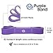 41 Inch Mobility & Stretch Resistance Band - Perfect for Pull Up Assist, Mobility Work, Crossfit WODs, Physical Therapy, and Band Training Exercises - Select 1 of 5 Resistance Levels - #3 PURPLE