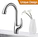 Purelux Calla Modern Design Single Handle Pull Down High Arc Kitchen Faucet fits 1 or 3 hole installation, Satin Stainless Finish Pull Out Sprayer Kitchen Sink Faucets
