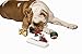 Dog Stocking + Christmas Dog Collar Bundle 4 Interactive Dog Toys Large Holiday Collar Perfect Pet Christmas Gifts