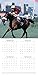 Beatufiul Photographs of Legendary Race Horses 2017 Monthly Wall Calendar, 12