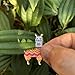 Backyard Art Llama Enamel Lapel Pin Wearing a Knit Sweater with Matching Bow Tie - Accessory for Knitters and Crocheters Project Bags