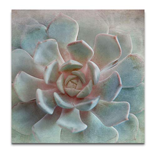 Pastel Succulent II Gallery Wrapped Canvas Wall Art