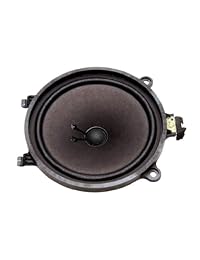 ACDelco 16181655 gm Original Equipment Puerta Delantera altavoz de radio