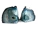 Crystal Allies Gallery: Pair of Small Polished Agate Geode Halves Bookends w/Authentic Stone Card - 1lb to 3lb