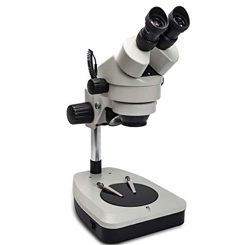 QuRRong Mikroskop für Studenten für Laborschule, Empfang, Erziehung, Biologische Forschung für die Reparatur von… – Bild 5