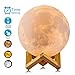 RMFSH Moon Lamp with Text- Moon Night Light for Adults Kids Baby Wooden Stand Remote Touch Control and USB Rechargeable 16 LED Colors 4.8 inch (Small)