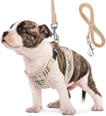 Small Dog Harness and Leash Set, Adjust Mesh Dog Harness for Small Dogs/Chihuahua, Lightweight Mesh Cat Harness,Padded Mesh Material for Breathability and Secure Fit