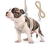 Small Dog Harness and Leash Set, Adjust Mesh Dog Harness for Small Dogs/Chihuahua, Lightweight Mesh Cat Harness,Padded Mesh Material for Breathability and Secure Fit (S)
