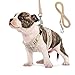Small Dog Harness and Leash Set, Adjust Mesh Dog Harness for Small Dogs/Chihuahua, Lightweight Mesh Cat Harness,Padded Mesh Material for Breathability and Secure Fit (S)