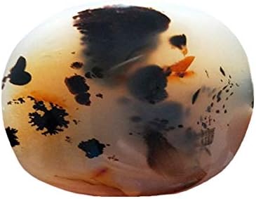 VJHVBNK Natural Aquatic Plants Agate Natural Mineral Decoration Healing Polished Quartz Ghost Stone Crystal Natural Process