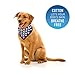 Premium American Flag Bandana Headband, Ideal Size - 21.5 x 21.5 Inches
