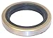 Sierra 18-2001 Oil Seal