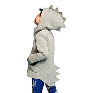 baohooya Dinosaurus-sweatshirt voor kinderen, 1-6 jaar, jas met capuchon, meisjes, jongens, lange mouwen, cartoon, trui…