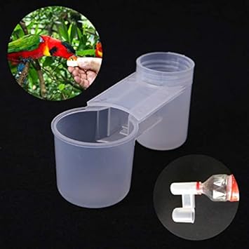 Amazon Com Verbena Hot Bird Feeding 5pcs New Plastic Pet