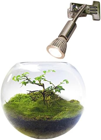 Led Plantlight 5w 拡散光 クリップタイプ 絶品 植物育成用 アクアリウム 観葉植物 白色電球 テラリウム 植物ライト E17