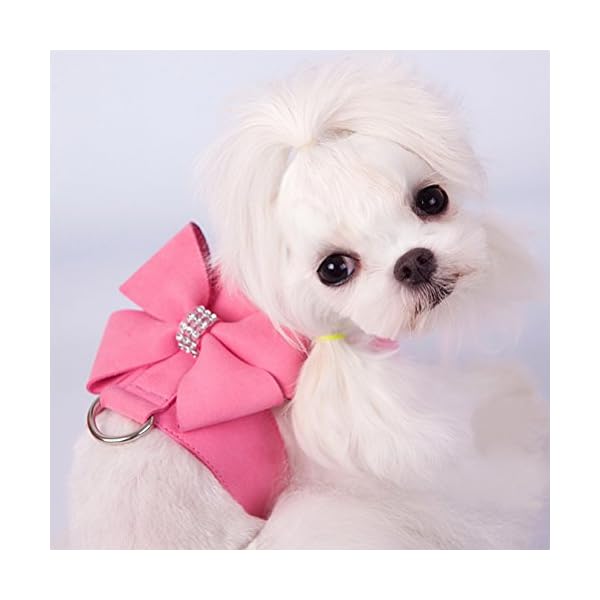 Zunea Set di imbracatura e guinzaglio per gatto/cane piccola taglia scamosciato pettorina morbido con fiocco e strass…