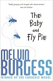 The Baby And Fly Pie