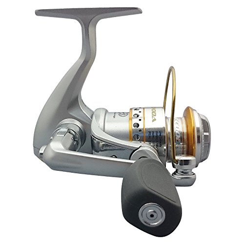 ecooda (Ikoda) reel BEYOND EBS1000