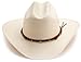 Stetson Men's Cowboy