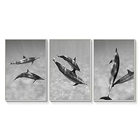 Framed Canvas Wall Art for Living Room, Bedroom Pod of Dolphins II Canvas Prints for Home Decoration Ready to Hang - 16"x24"x3 Panels