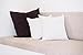 ZOYER Decorative Throw Pillow Inserts (2 Pack, White)-Square Pillows for Couch and Bed-Premium Quality Euro Pillows-Enhance Your Decor with Throw Pillows-Ideal Cushions for Sofas and Bedrooms