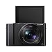 Panasonic Lumix DMC-LX10 4K Digital Point and Shoot Camera, 20.1 Megapixel 1-inch Sensor Bundle with Camera Bag, 32GB SD Card, SD Card Case, PC Software Kit, Cleaning Kitthumb 2