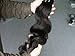 Uni Fancy Best Quality Brazilian Virgin Hair Extension Body Wave