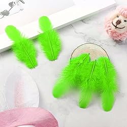 Soarer 300pcs Green Feathers for Crafts - 3-5inch