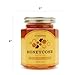SB Organics Honeycomb Jars - 2 Pack 12 oz Jars of Premium California Sage Raw Unfiltered Non-GMO Kosher Honey Comb