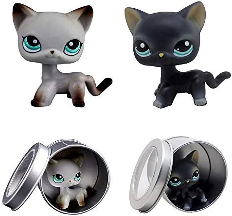 Meidexian888 Rare Littlest Pet Shop, 2PCS Cartoon Cream Tan Heart Face Short Hair Cat with Box,for Child